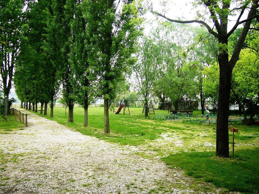 Agriturismo Pra' D'Arca Villa Ceggia Dış mekan fotoğraf